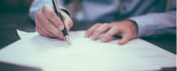 Volunteer Opportunities