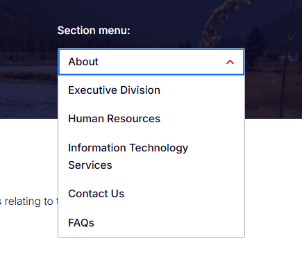 Screen shot of Section Menu expanded