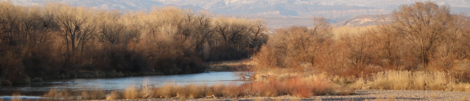 Delta County banner image