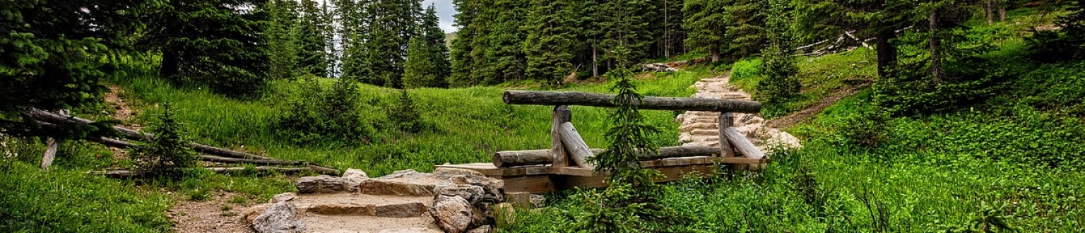Rocky path going up slope with trees for Colorado banner image