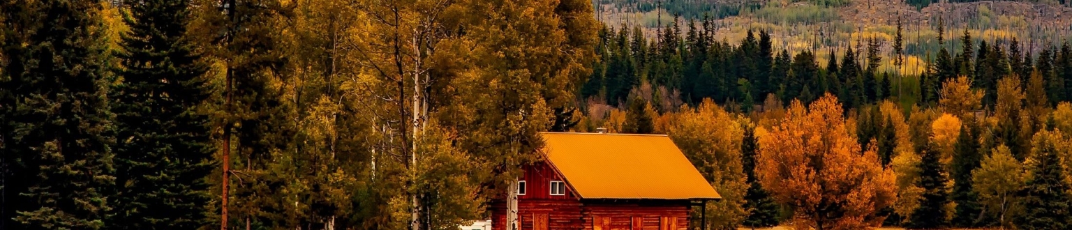 Trees and cabin with mountains in background for Colorado banner image